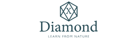 X-Diamond